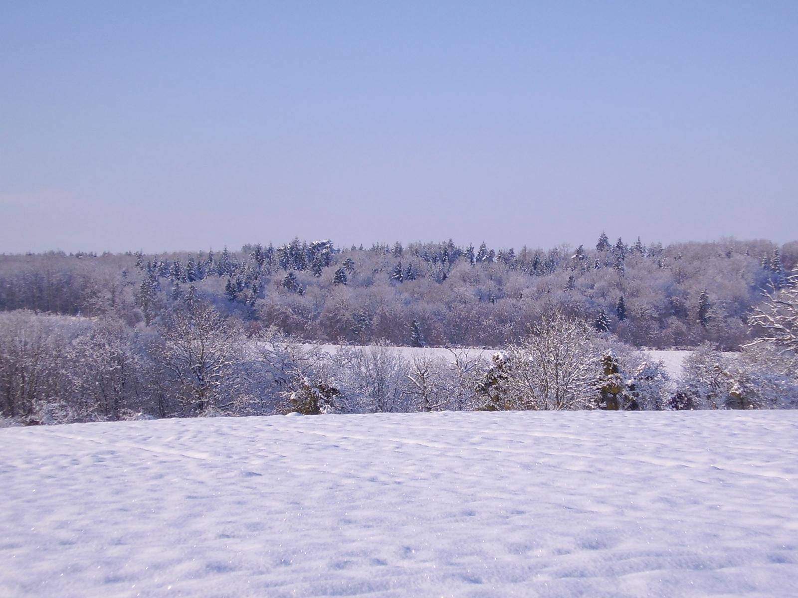 Saison hivernale Campagne Normande sous la neige