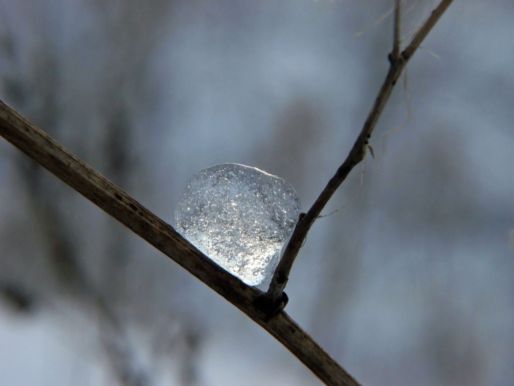 Saison hivernale Saison d'hiver