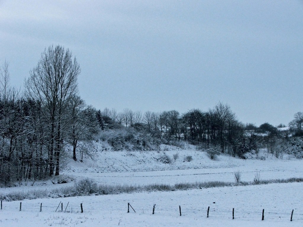 Saison hivernale Saison d'hiver