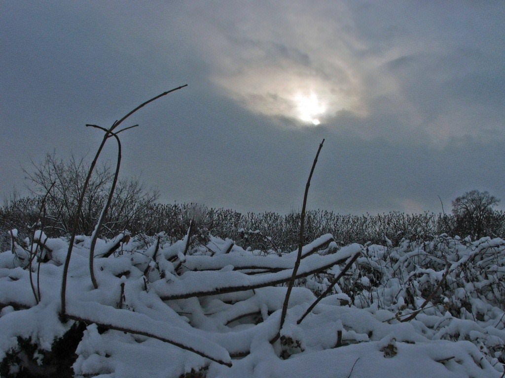 Saison hivernale Saison d'hiver