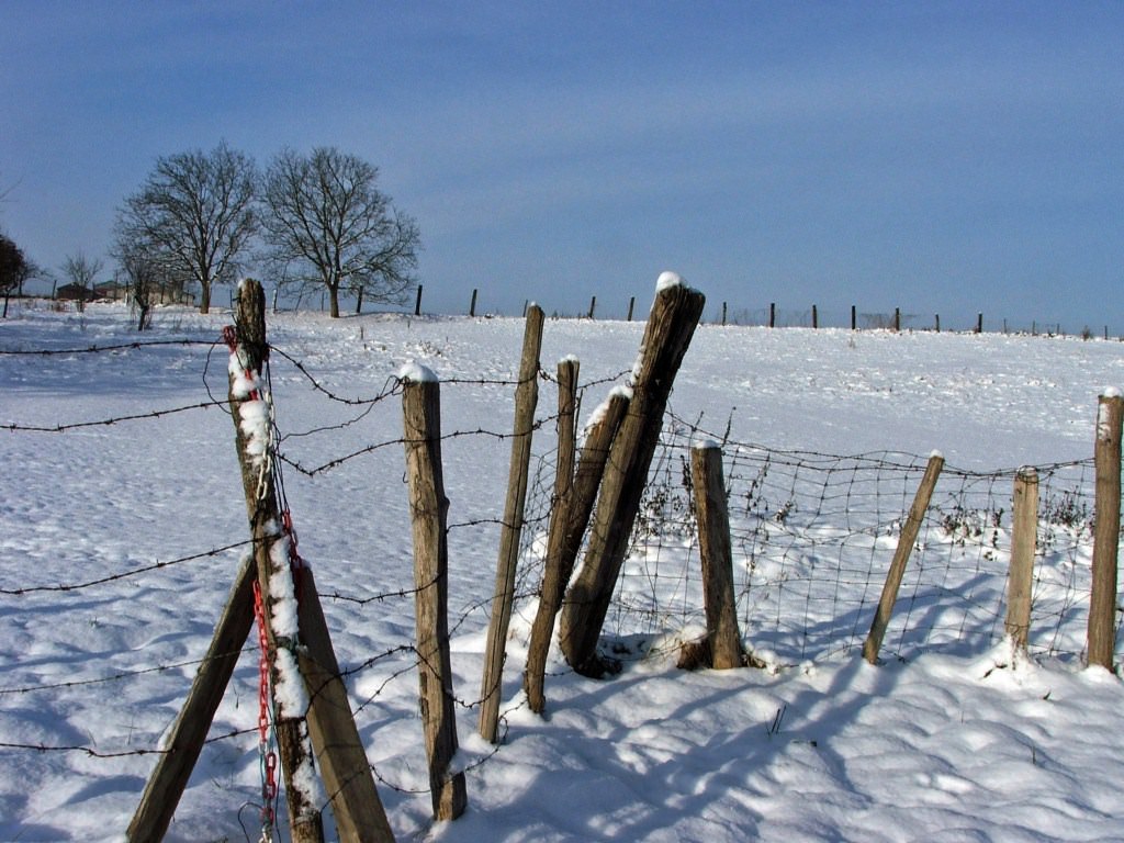 Saison hivernale Saison d'hiver