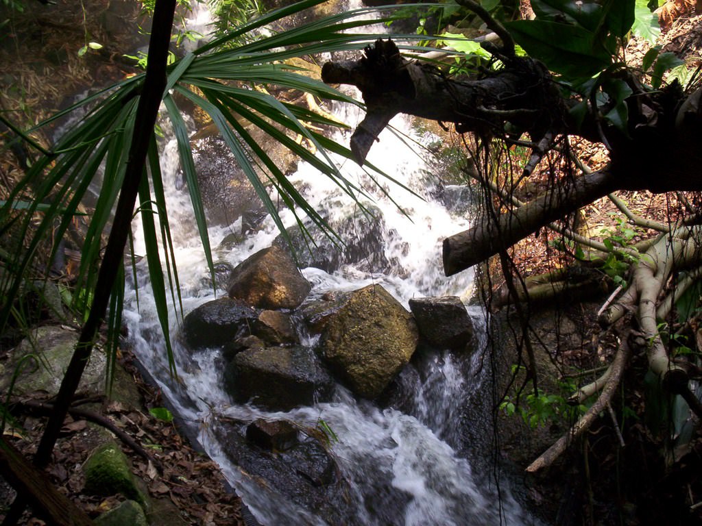 Fleuves et Rivieres Eden project