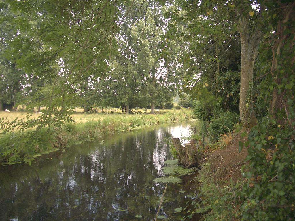 Fleuves et Rivieres Au bord de la rivière