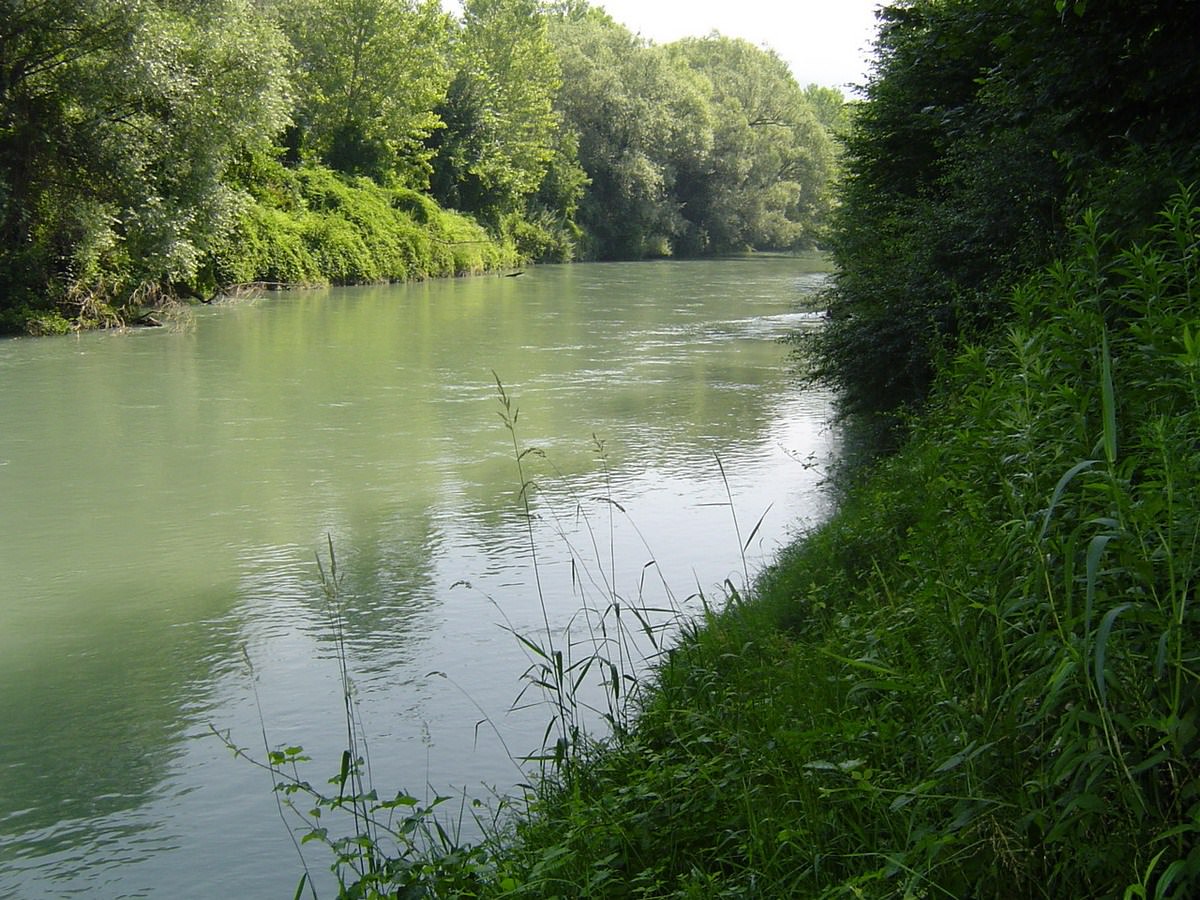 Fleuves et Rivieres le Rhône à Vertrieu