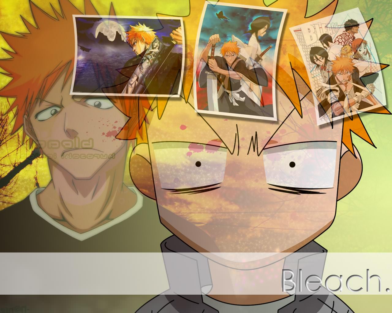 Bleach Bleach 1