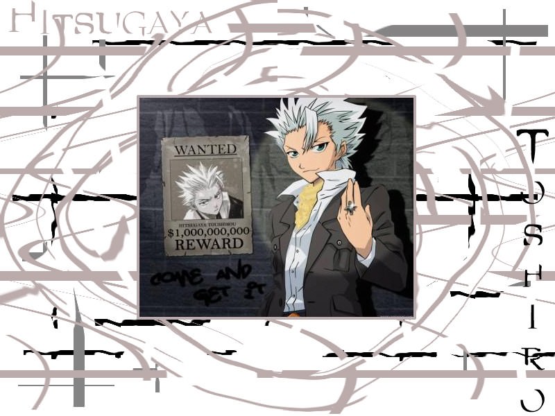 Bleach Hitsugaya Toshiro