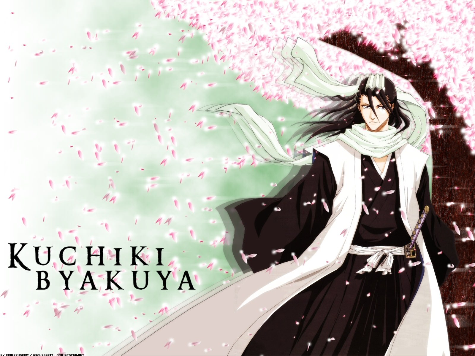 Bleach kuchiki byakuya