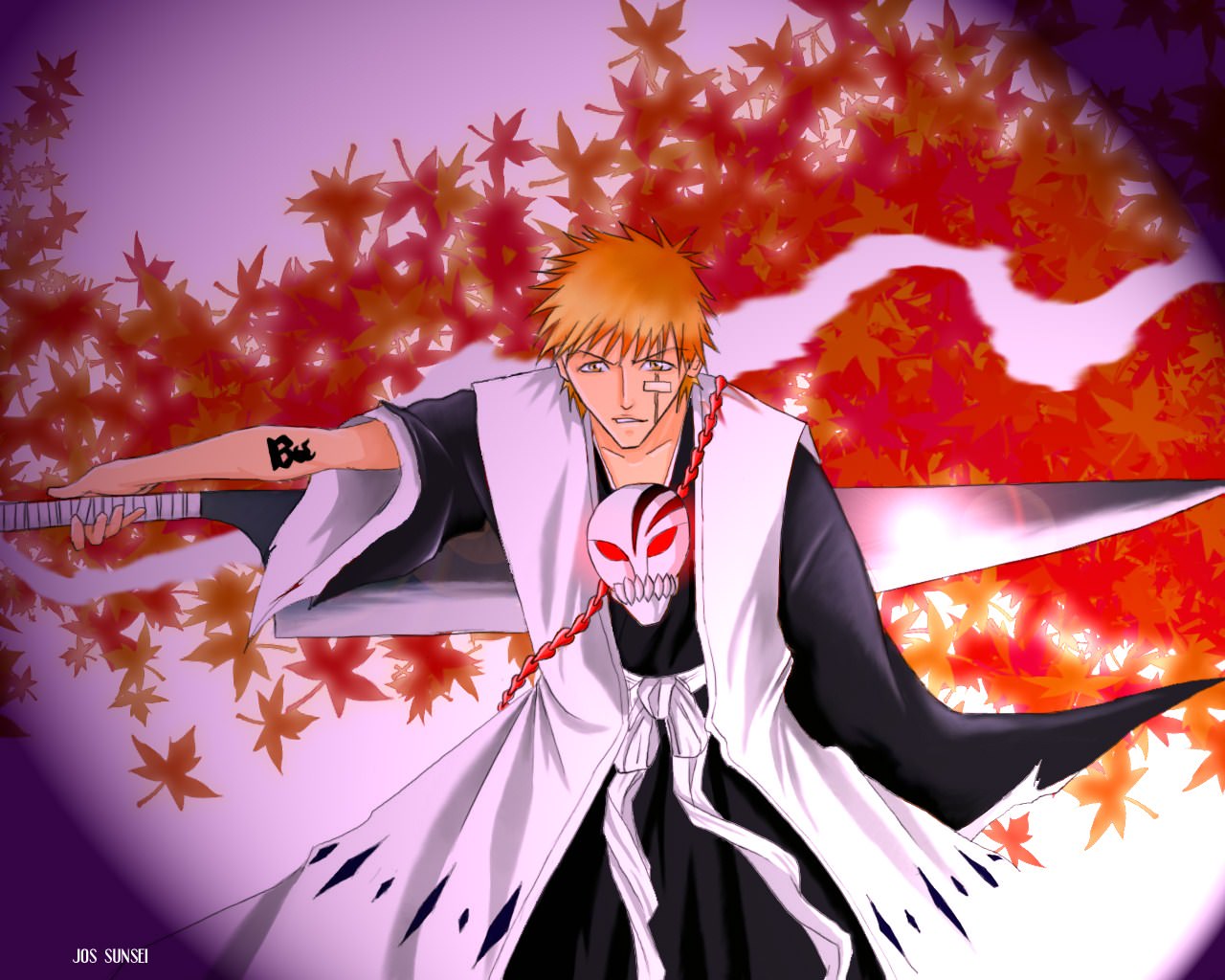 Bleach ichigo