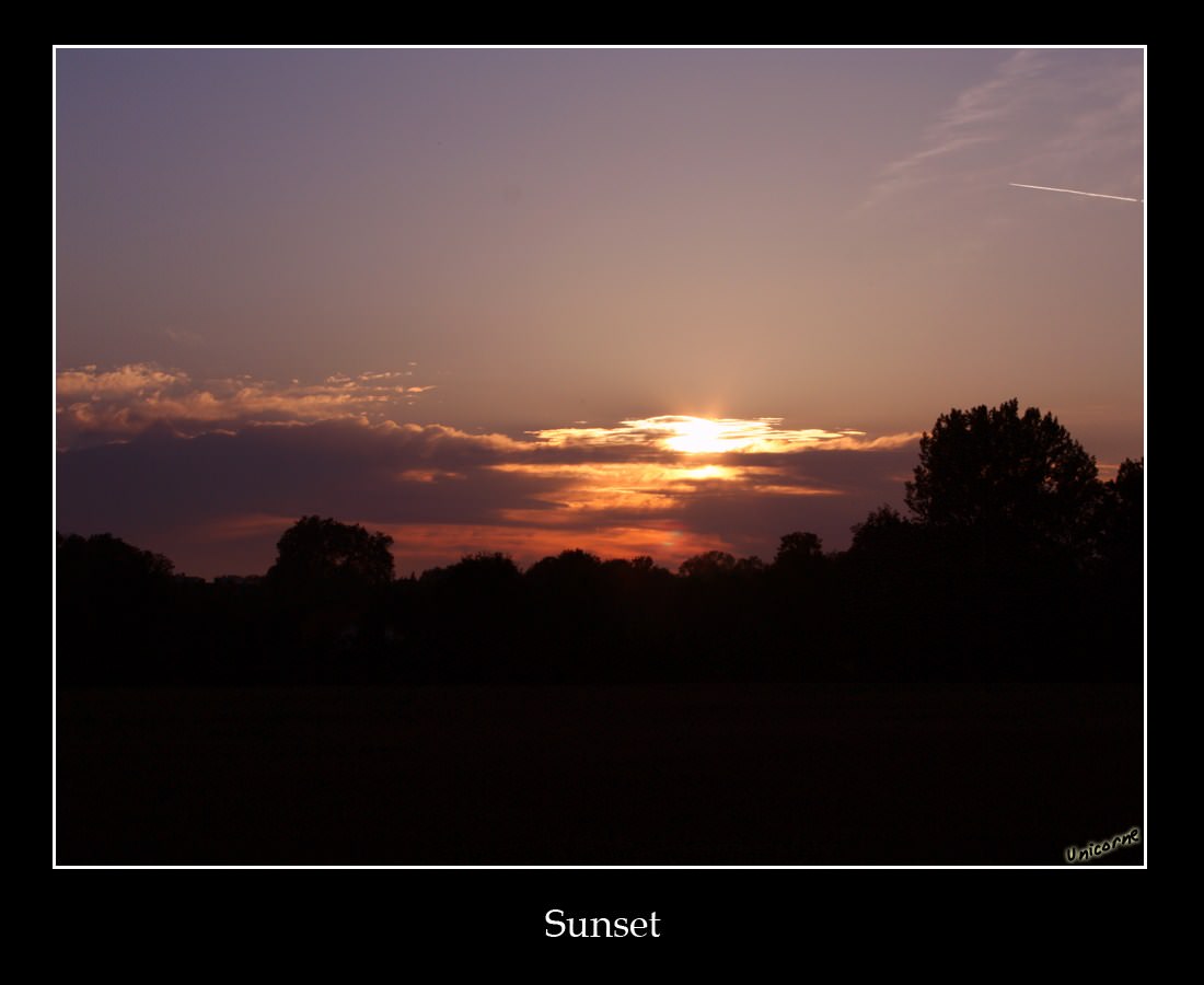 Couchers et levers de Soleil Coucher de soleil sur une forêt